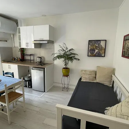 Cozy Flat In La Butte Aux Cailles דירה *